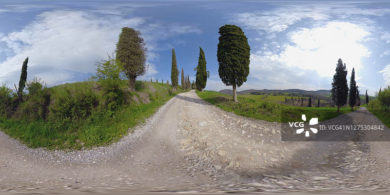 360度VR：托斯卡纳山丘的柏树大道图片素材