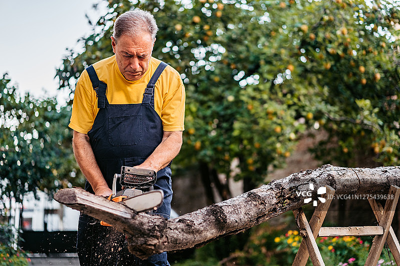男人用链锯锯倒树木图片素材