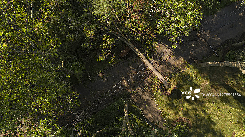 强风吹倒树木，堵塞街道并摧毁新泽西小镇的电力线和网络有线电视图片素材