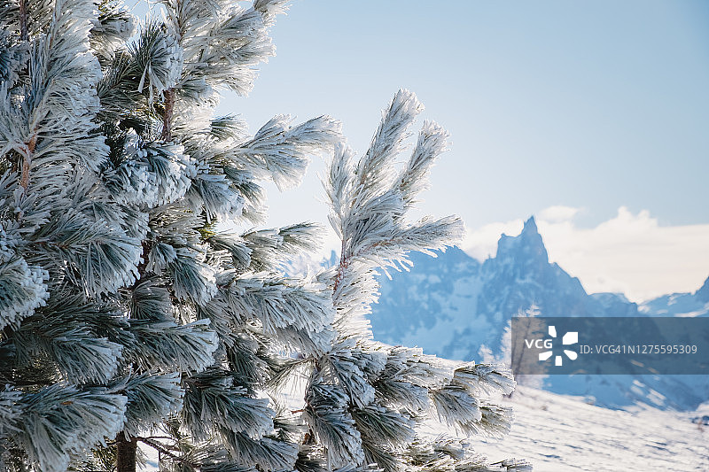 意大利多洛米蒂山阿尔佩卢西亚滑雪区的阳光冬季景观：莫埃纳附近法萨山谷的滑雪胜地，冬季山景图片素材