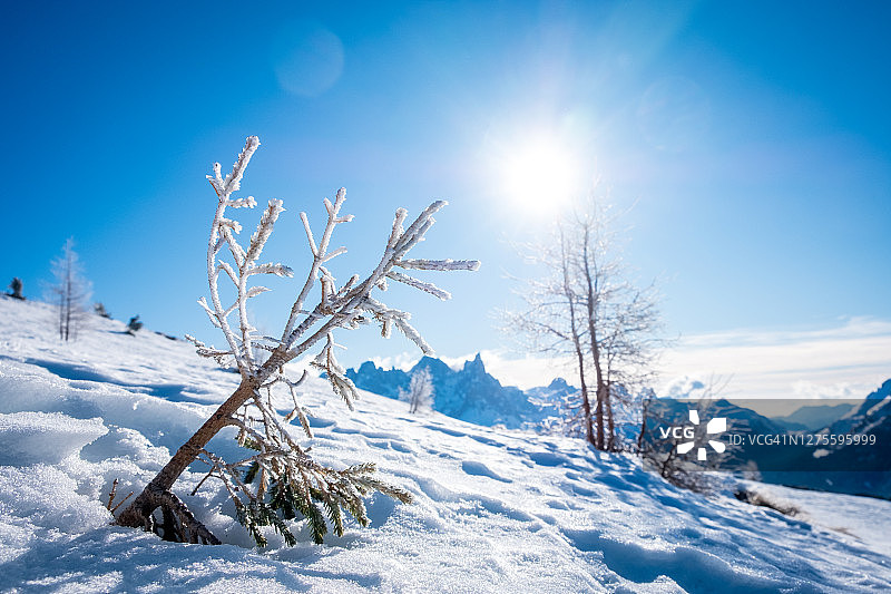 意大利多洛米蒂山阿尔佩卢西亚滑雪区的阳光冬季景观：莫埃纳附近法萨山谷的滑雪胜地，冬季山景图片素材