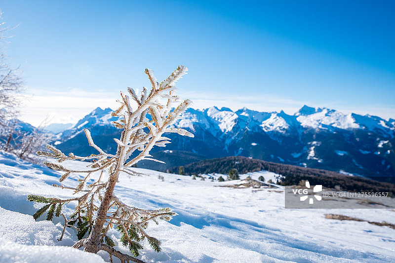 意大利多洛米蒂山阿尔佩卢西亚滑雪区的阳光冬季景观：莫埃纳附近法萨山谷的滑雪胜地，冬季山景图片素材