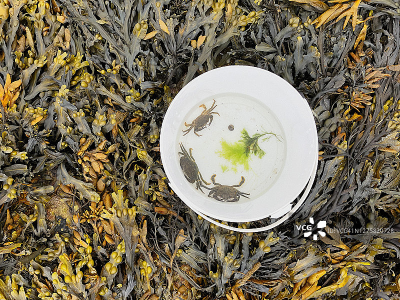 岩石水潭图片素材