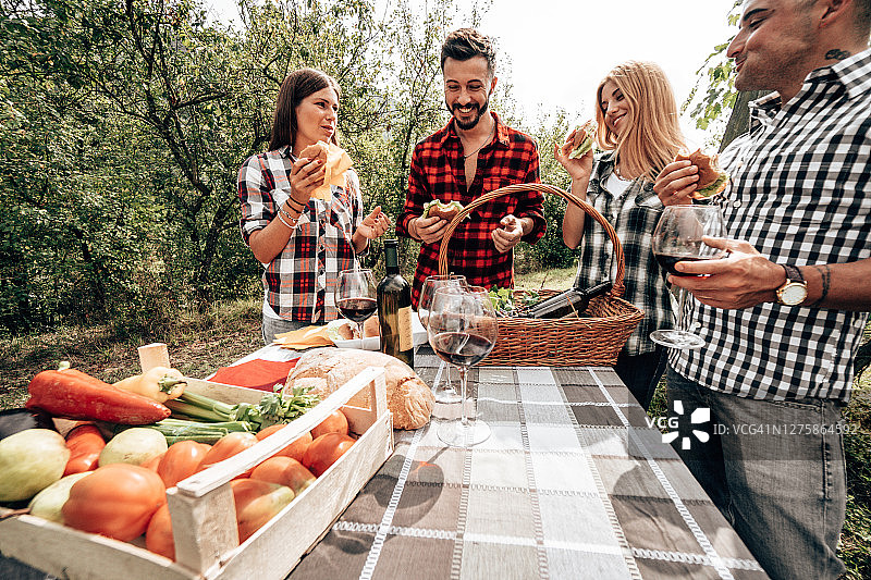 朋友们在葡萄园野餐图片素材