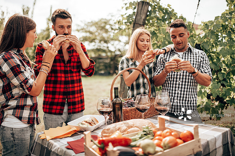 朋友们在葡萄园野餐图片素材