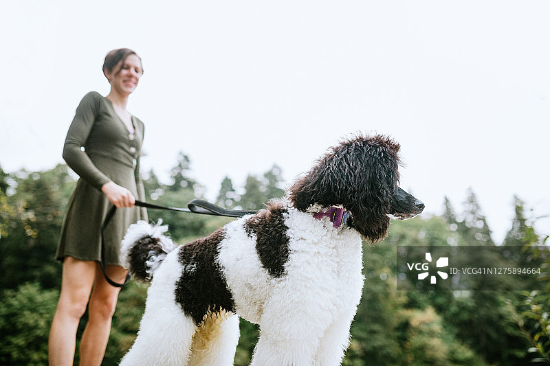 年轻女子在户外与她的狗共度美好时光图片素材