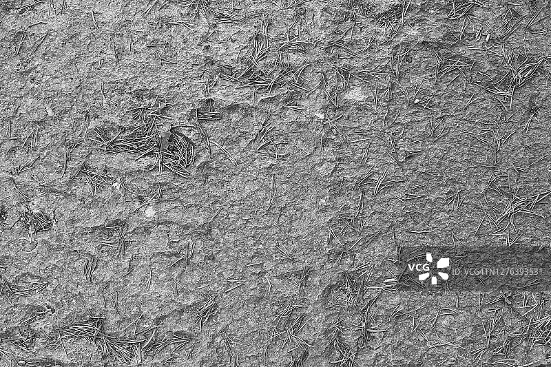 黑白粗糙岩石上的老松针图片素材