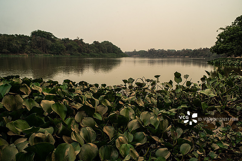 笼罩在烟雾中的库亚巴河图片素材