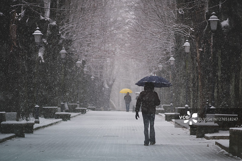 人们在林荫大道上打着彩色伞雪中漫步图片素材