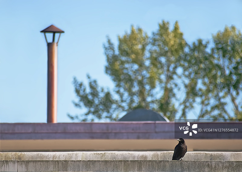 工业与乌鸦图片素材