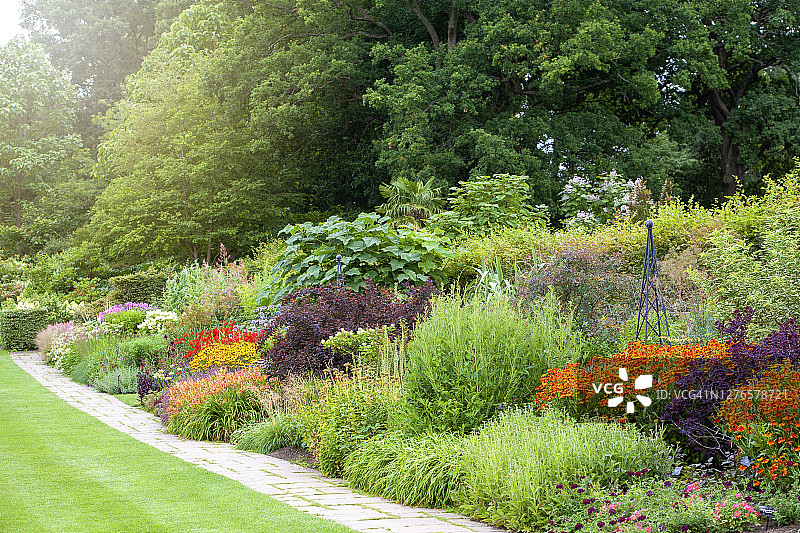 盛开着充满活力的多年生夏季花卉的英国花园草本植物边界图片素材
