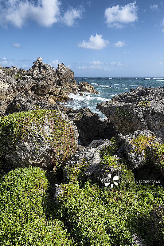 巴巴多斯岛斯基特湾的礁石图片素材
