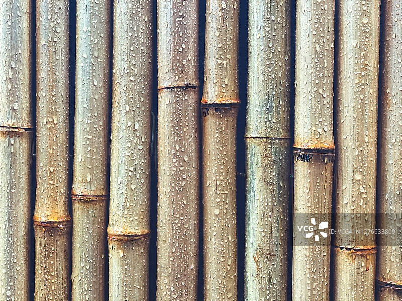 竹墙纹理泥土色上的雨滴图片素材