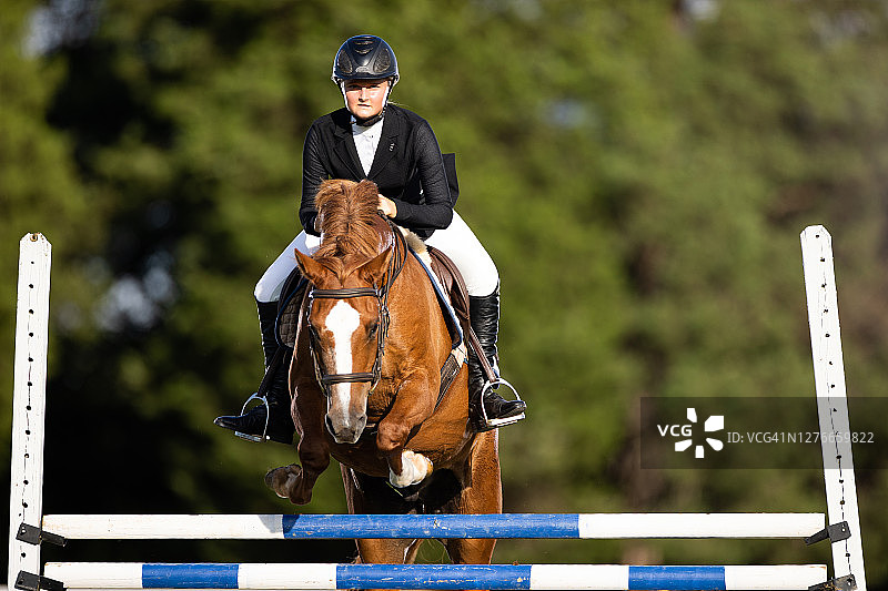 年轻的马术骑手正在跳跃图片素材