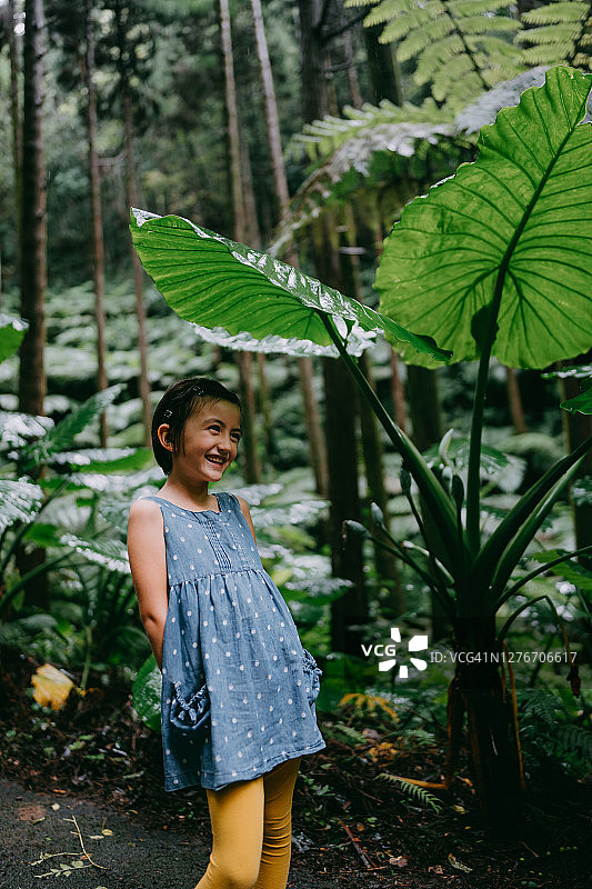 年轻女孩在热带雨林中用大树叶躲雨图片素材