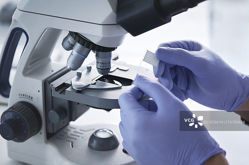 仔细检查新样本图片素材