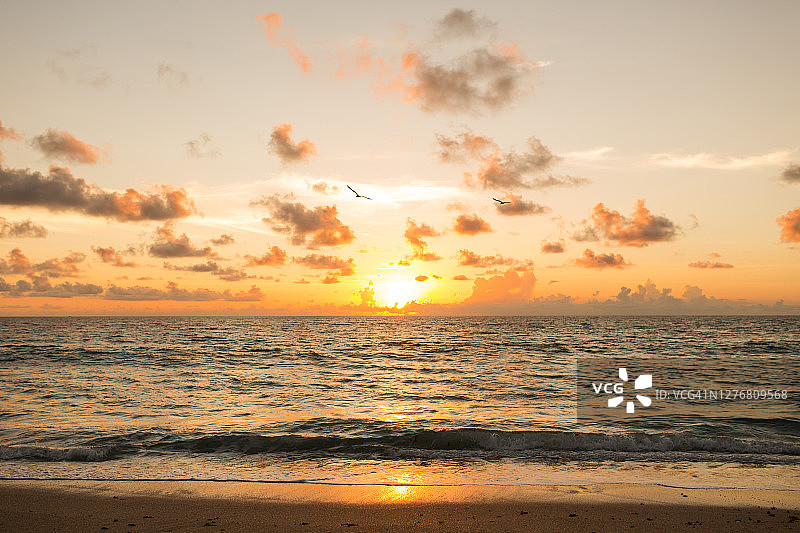 佛罗里达州棕榈滩上鲜艳的黄色日出图片素材