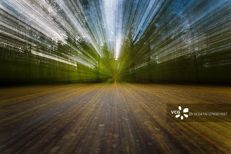 森林道路模糊景色图片素材