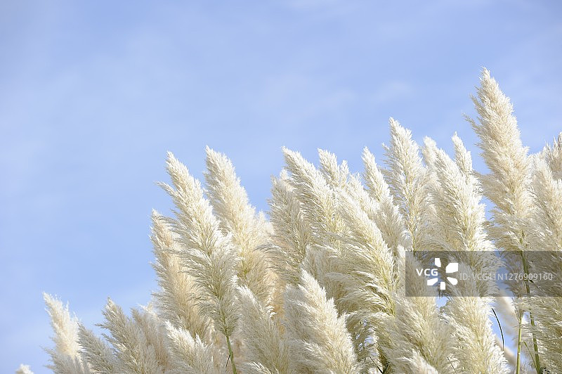 科特里亚海景图片素材