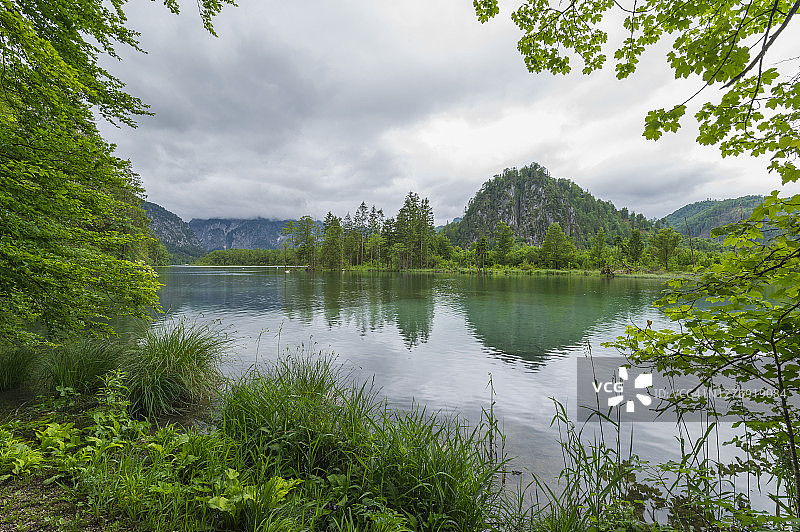 奥地利上奥地利州阿尔姆塔尔阿尔姆湖夏季晨景图片素材