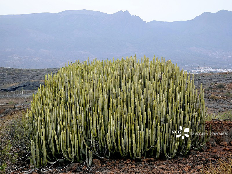 圭马尔火山荒原图片素材