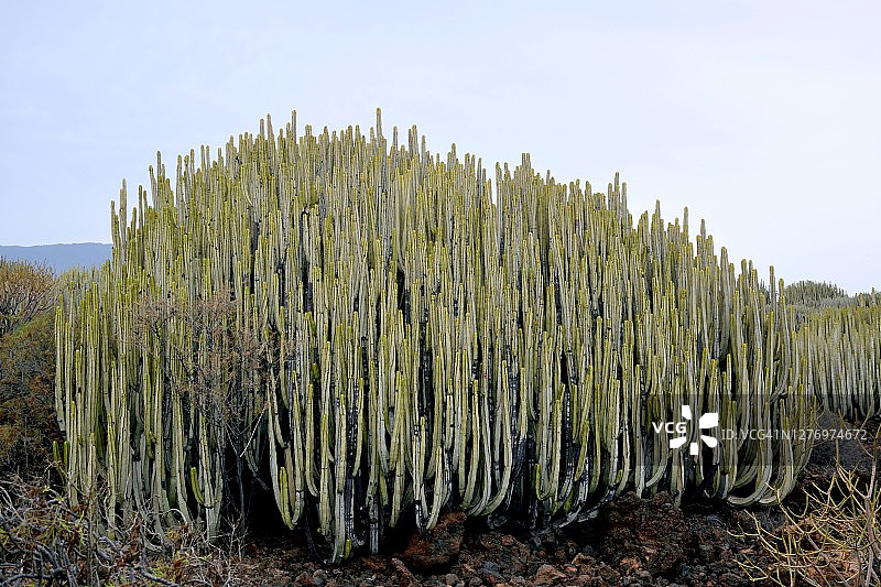 圭马尔火山荒原图片素材