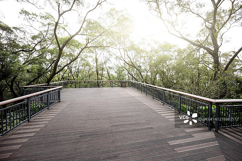 树林中的空木地板路图片素材