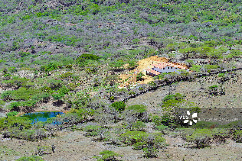 位于哥伦比亚巴里查拉森林中央的带橙色瓦片屋顶的白色生态房屋图片素材