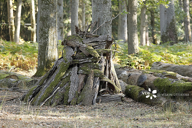 法国勃艮第森林中晾晒的木材和树皮图片素材