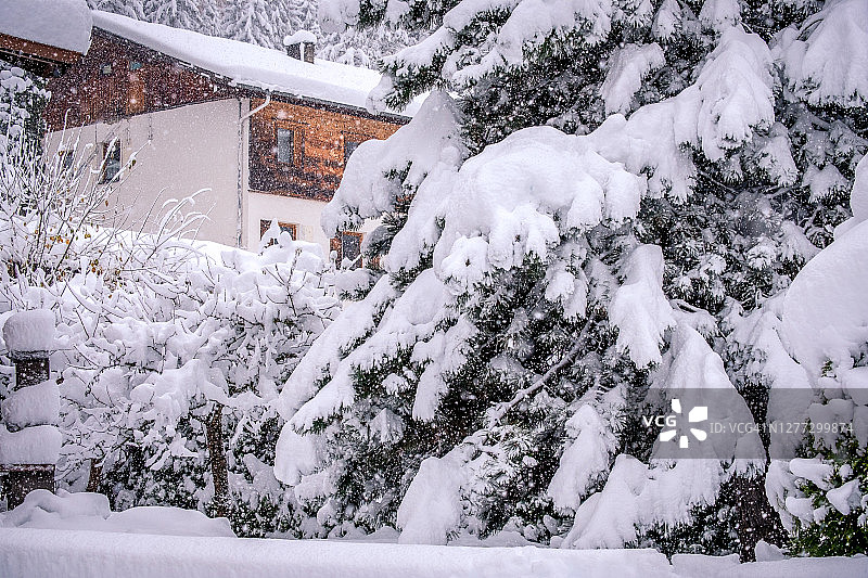 奥地利施图拜山谷诺伊施蒂夫市的冬季景观，透过树枝看到的典型奥地利房屋图片素材