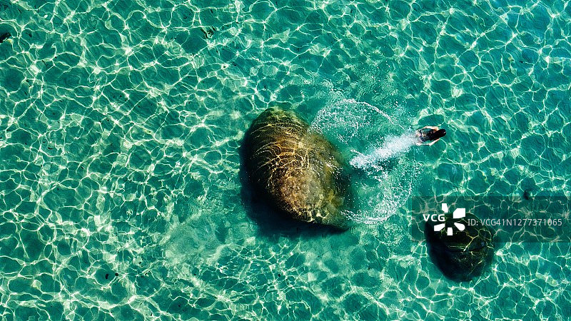 女孩在清澈的湖水中潜水图片素材