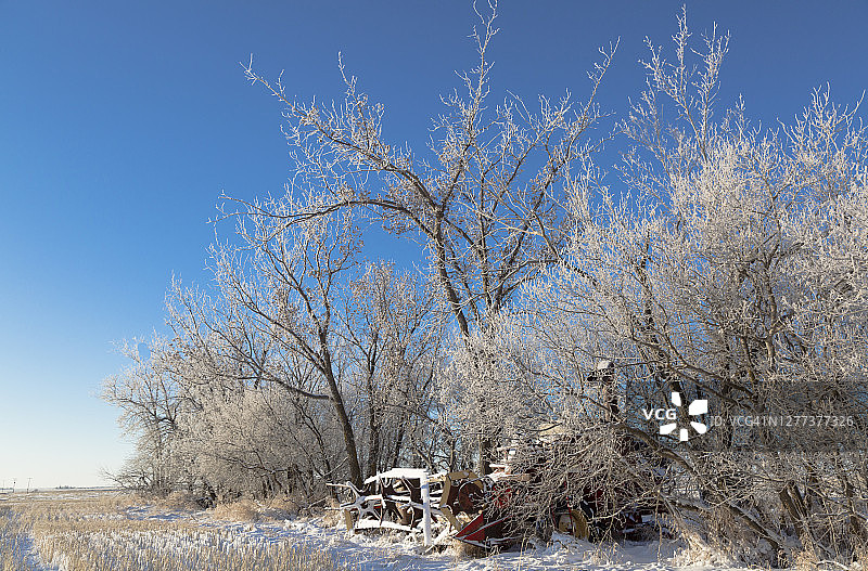 被树枝遮挡的复古联合收割机图片素材