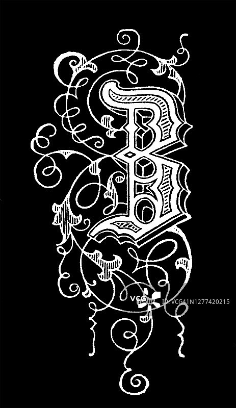 字母B装饰古版画插图图片素材