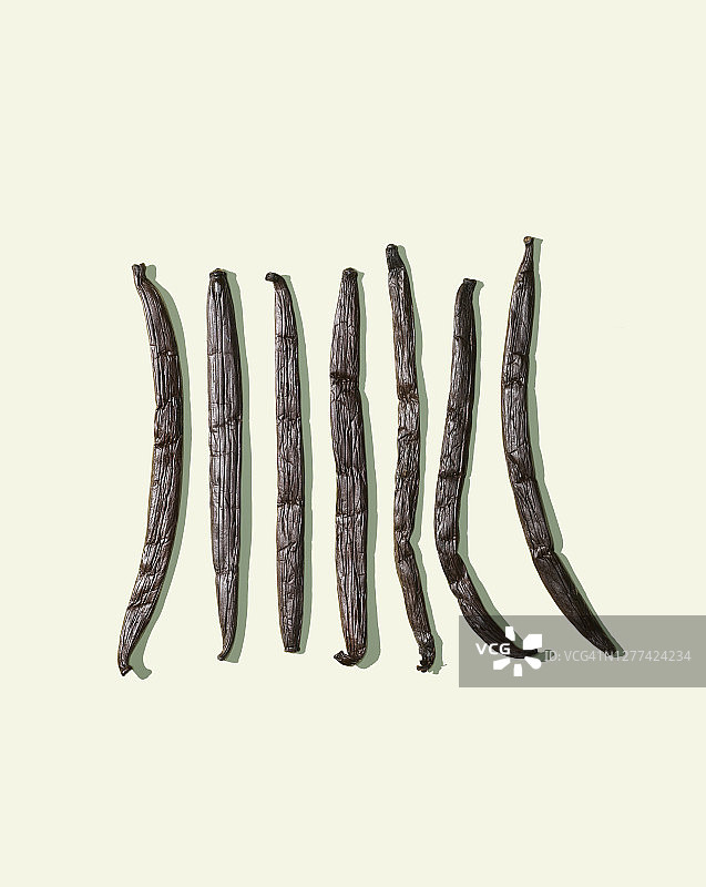 奶油色背景上的香草豆图片素材