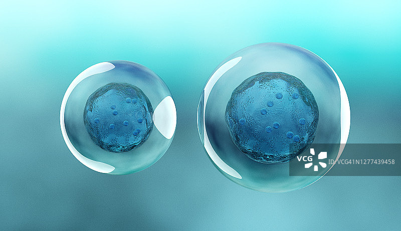 人类干细胞图片素材