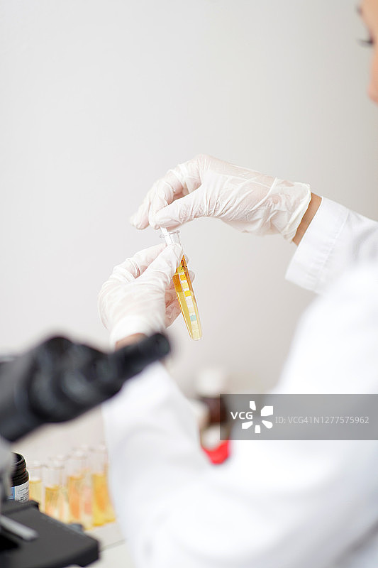 戴手套将试剂条浸入试管中的尿液图片素材