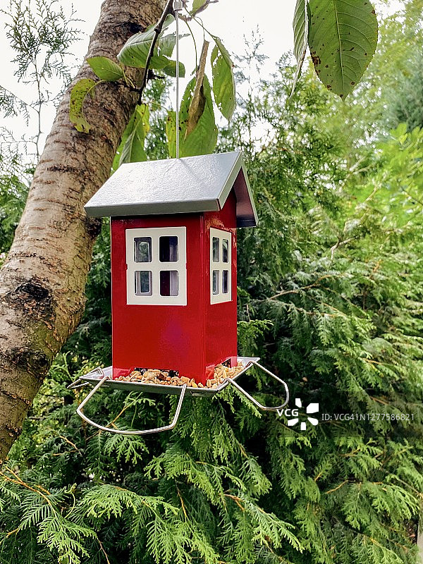 花园里的红色喂鸟器图片素材