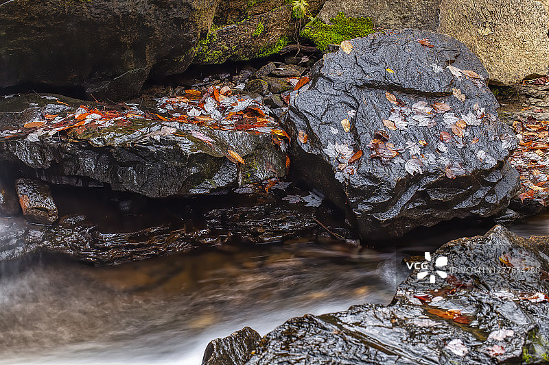 巴布科克州立公园的秋色图片素材