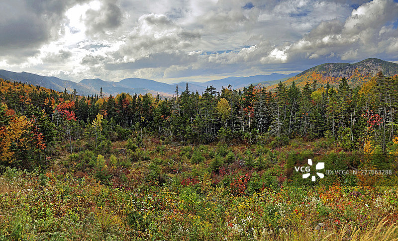 新罕布什尔州白山甘卡马古斯公路沿线美丽的秋叶图片素材