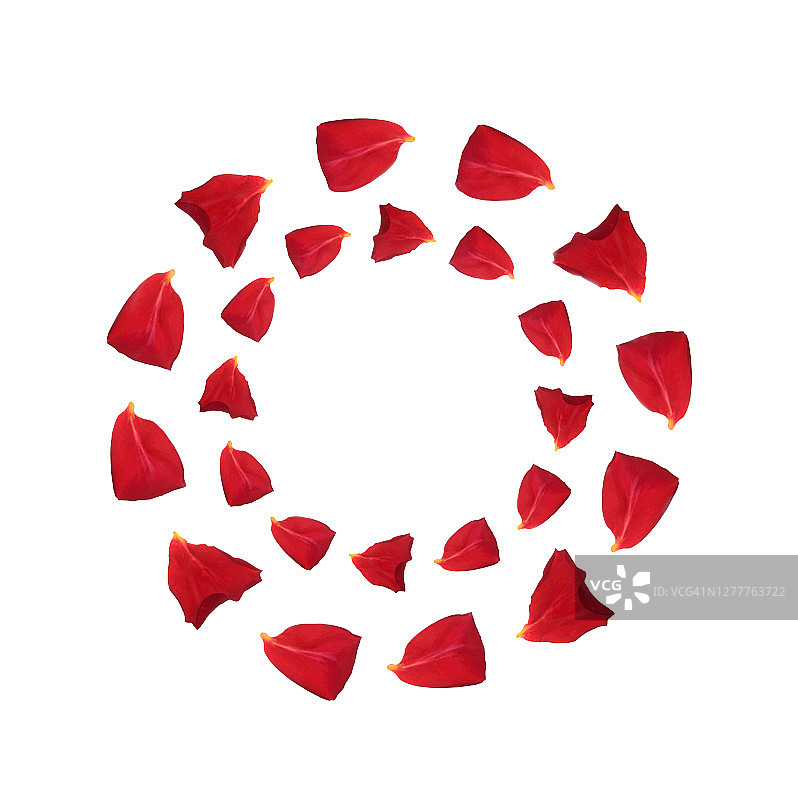 不同大小的红色玫瑰花瓣形成两个圆圈图片素材