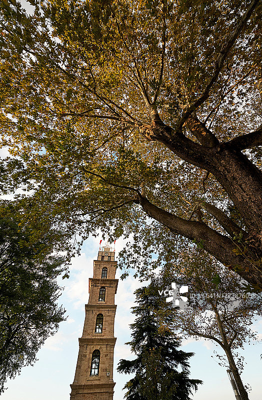 土耳其布尔萨托普哈内钟楼上的秋树图片素材