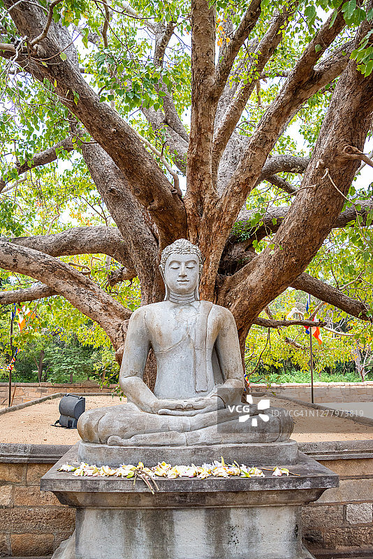 斯里兰卡阿努拉德普勒的佛陀三摩地雕像图片素材