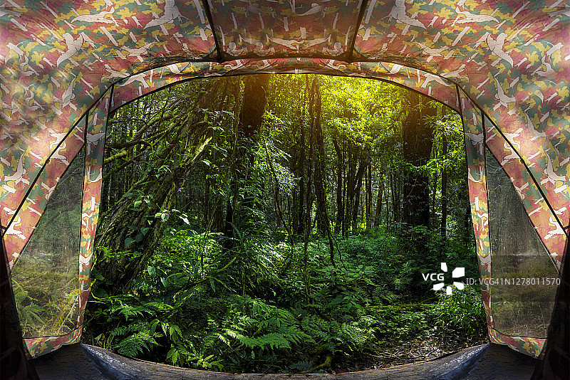 地球保护日或环保手的概念，保护生长的森林图片素材