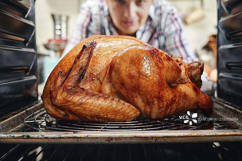 烤箱烤火鸡（节日晚餐）图片素材