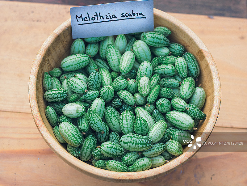 迷你黄瓜图片素材