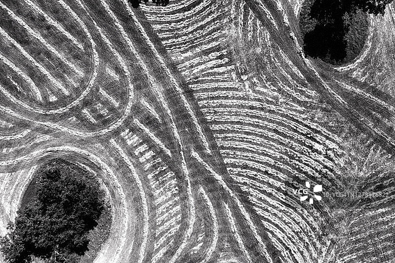 德克萨斯州格伦罗斯的干草收割图片素材