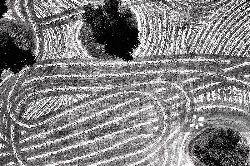 德克萨斯州格伦罗斯的干草收割图片素材