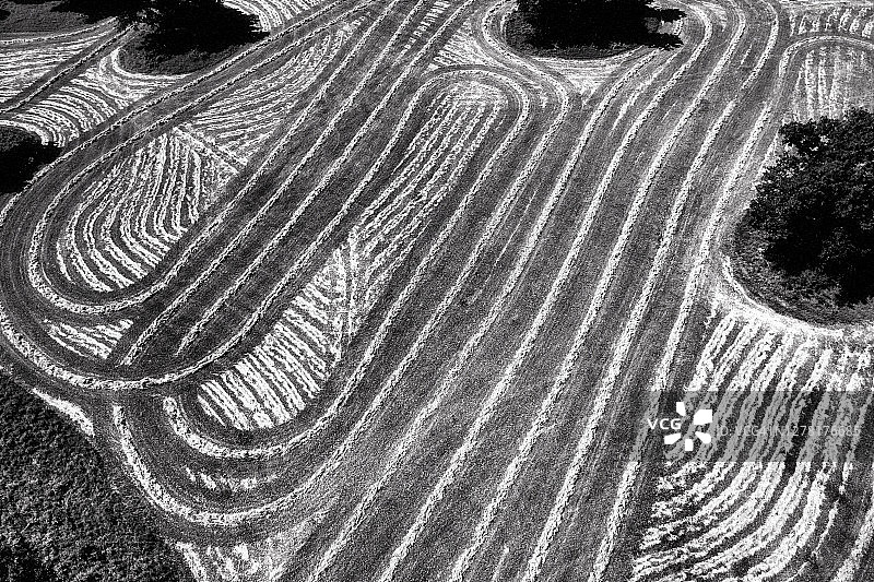 德克萨斯州格伦罗斯的干草收割图片素材