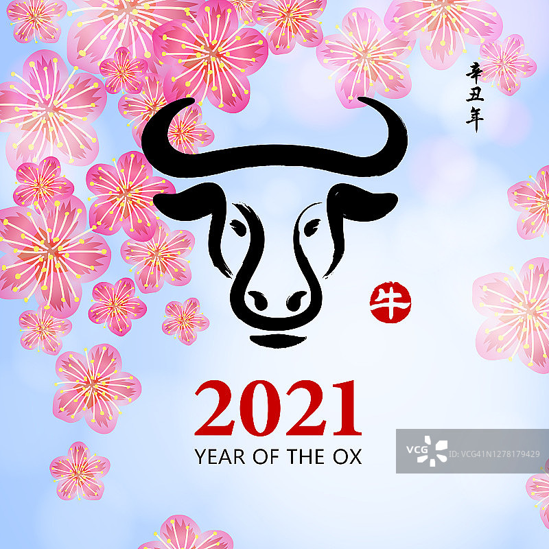 牛年的梅花图片素材