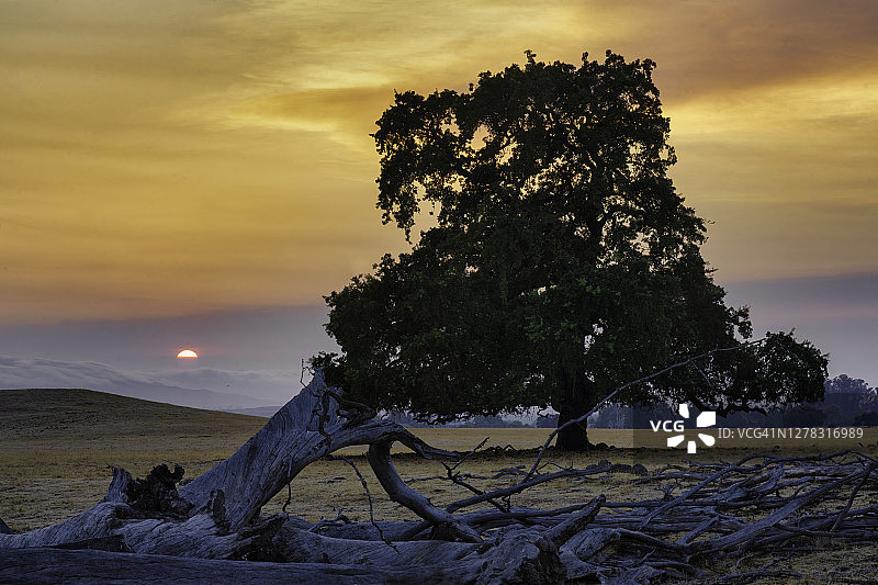 雾和烟中的日落图片素材